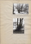 Ewidencja parkowa, skan nr 29