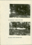 Ewidencja parkowa, skan nr 25