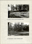 Ewidencja parkowa, skan nr 26