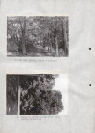 Ewidencja parkowa, skan nr 29
