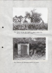 Ewidencja parkowa, skan nr 30