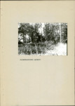 Ewidencja parkowa, skan nr 28