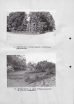 Ewidencja parkowa, skan nr 29