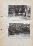 Ewidencja parkowa, skan nr 22