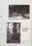Ewidencja parkowa, skan nr 25