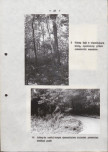 Ewidencja parkowa, skan nr 27