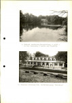 Ewidencja parkowa, skan nr 36