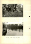 Ewidencja parkowa, skan nr 43