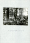 Ewidencja parkowa, skan nr 32