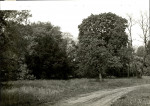 Ewidencja parkowa, skan nr 28