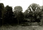 Ewidencja parkowa, skan nr 32