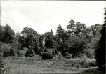 Ewidencja parkowa, skan nr 31