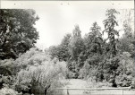 Ewidencja parkowa, skan nr 22