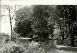 Ewidencja parkowa, skan nr 22