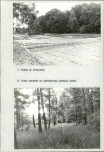 Ewidencja parkowa, skan nr 33