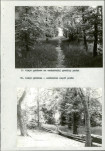 Ewidencja parkowa, skan nr 34