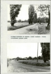 Ewidencja parkowa, skan nr 39