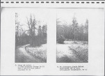 Ewidencja parkowa, skan nr 14