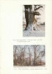 Ewidencja parkowa, skan nr 64