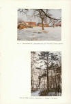 Ewidencja parkowa, skan nr 66