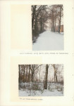 Ewidencja parkowa, skan nr 67