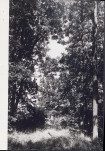 Ewidencja parkowa, skan nr 28