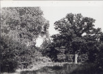 Ewidencja parkowa, skan nr 30