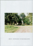 EP - Ewidencja parkowa, skan nr 43