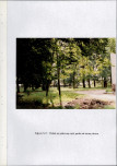 EP - Ewidencja parkowa, skan nr 32
