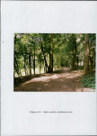 EP - Ewidencja parkowa, skan nr 56