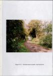 EP - Ewidencja parkowa, skan nr 61