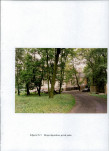 EP - Ewidencja parkowa, skan nr 44