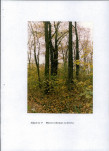 EP - Ewidencja parkowa, skan nr 56