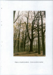 EP - Ewidencja parkowa, skan nr 66