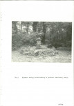 Ewidencja parkowa, skan nr 35