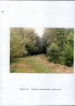 EP - Ewidencja parkowa, skan nr 78