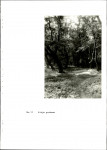 EP - Ewidencja parkowa, skan nr 49