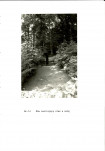 EP - Ewidencja parkowa, skan nr 52