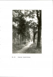 EP - Ewidencja parkowa, skan nr 58