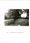 EP - Ewidencja parkowa, skan nr 64