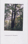 EP - Ewidencja parkowa, skan nr 52