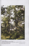 Ewidencja parkowa, skan nr 42