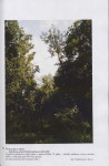 Ewidencja parkowa, skan nr 49