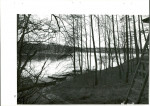 Ewidencja parkowa, skan nr 83