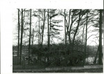 Ewidencja parkowa, skan nr 86
