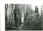 Ewidencja parkowa, skan nr 89