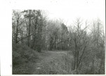 Ewidencja parkowa, skan nr 94