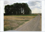 karta ewidencyjna, skan nr 3