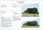 karta ewidencyjna, skan nr 7