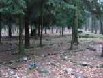 karta ewidencyjna, skan nr 14